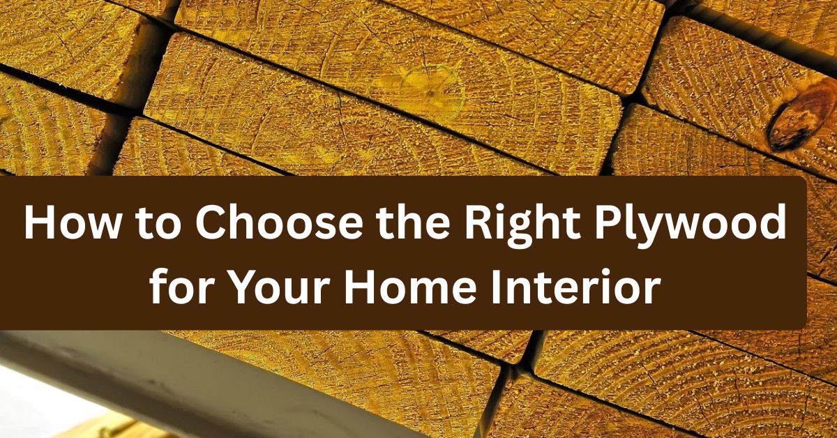 How to Choose the Right Plywood for Your Home Interior - PLYWOOD HOUSE